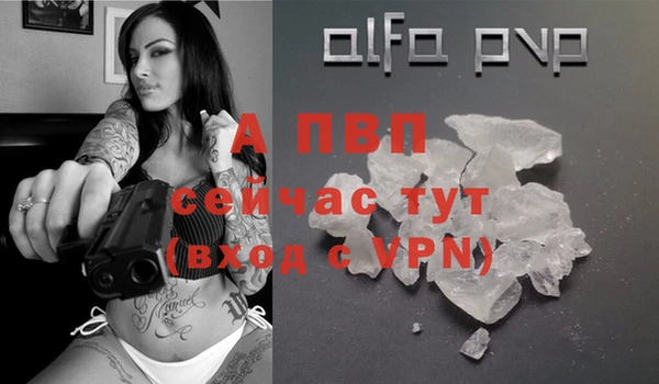 PSILOCYBIN Куйбышев
