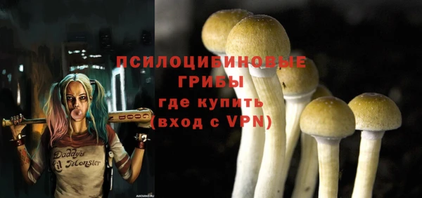 индика Лагань