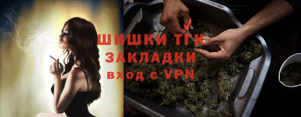 соль ск Кулебаки