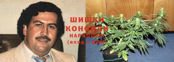 соль ск Кулебаки